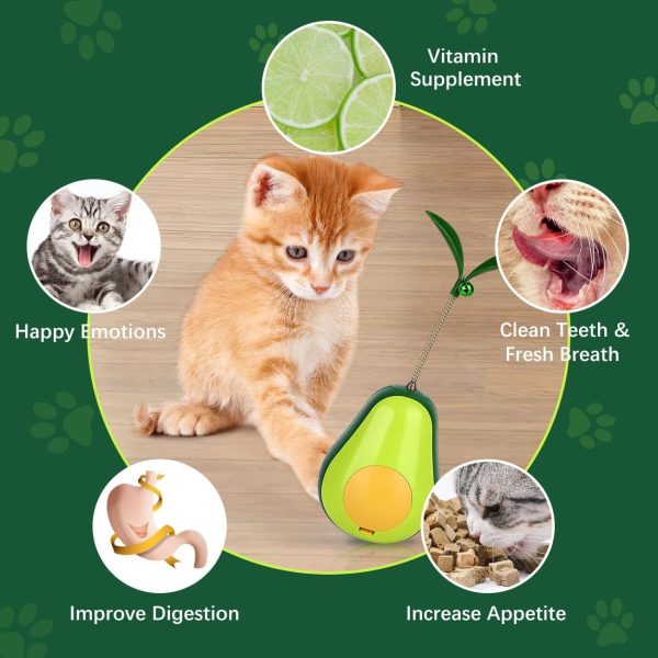 Catnip Feeder Cat Toy Cat Indoor Cat Self Groomer Cat Face Scraper Corner Massage Comb Scraper Self Groomer Cat Brush Cat Corner Funny Kitten Toys - Image 5