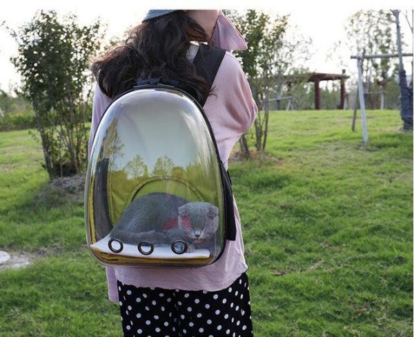 Transparent Backpack Pet Backpack - Image 4