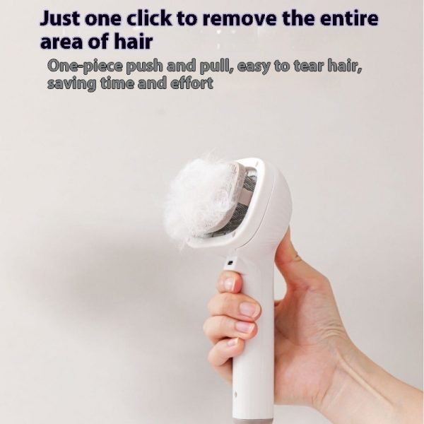 Pet Spray Comb One-click Spray Anti-flying Hair Float Hair Cleaning Cleaning Brush - Image 2