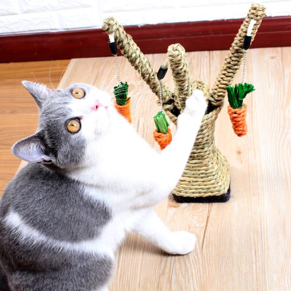 Kitten Claw Plate Molar Toy Vertical