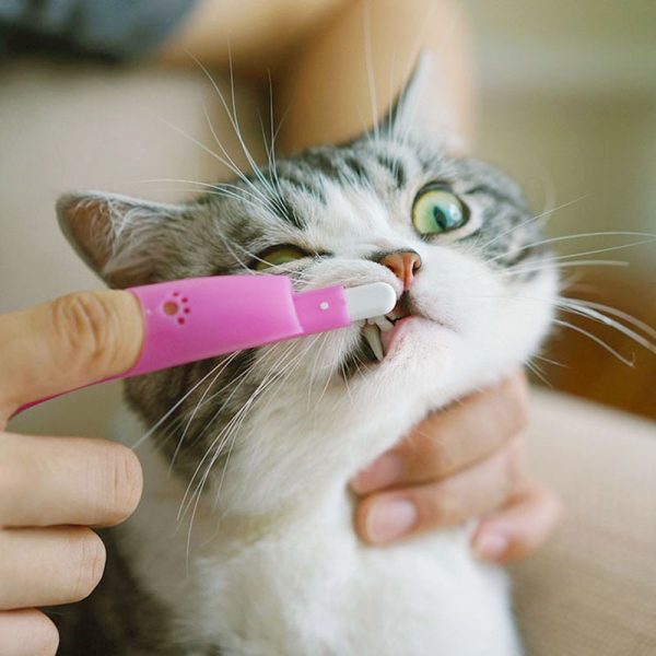 Cat Pet Finger Toothbrush - Image 3