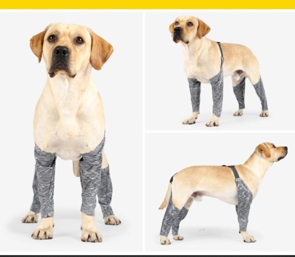 Doughton's New Doggie Outdoor Four-Legged Pants - Image 5