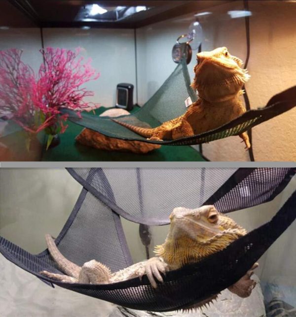 Reptile Hammock Lizard Snake Pet Hammock - Image 3