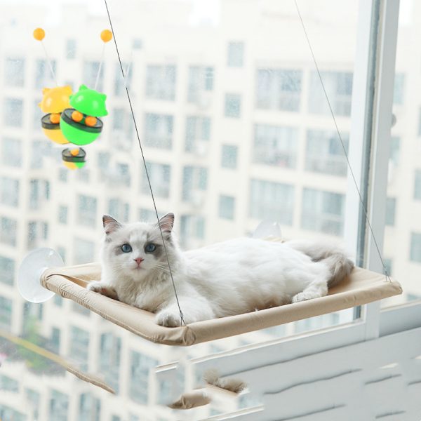 Suction Cup Hanging Bed For Summer Sunbathing Swing Cat Supplies - Image 4