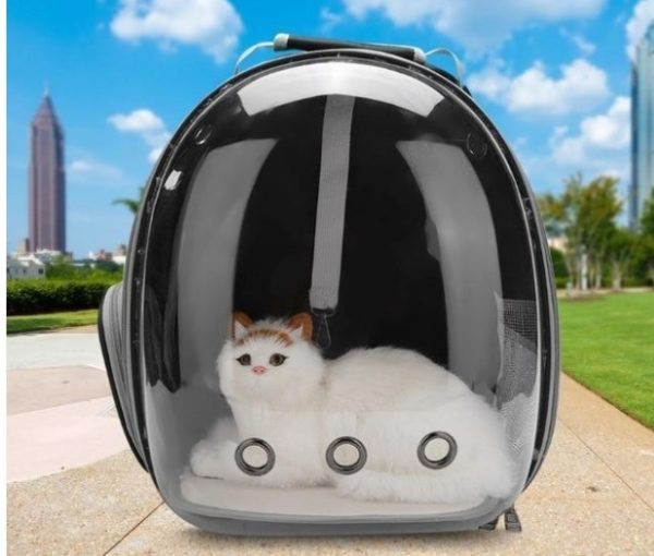 Cat Bag Full Transparent Pet Space Bag - Image 7