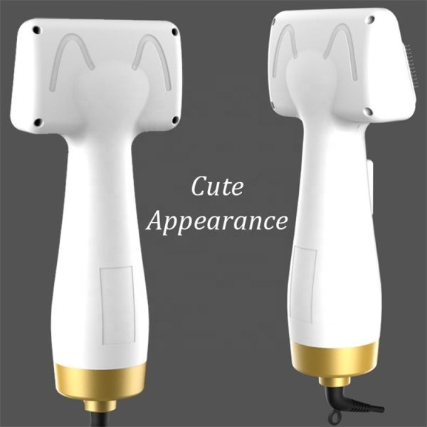 Drying Model Of Pet Hair Dryer - Image 5