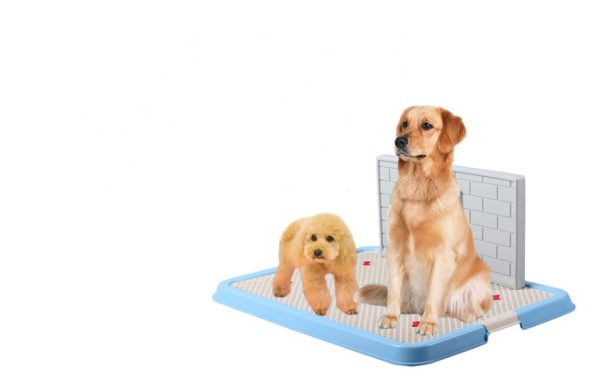 Dog Toilet Puppy Dog Supplies Teddy Dog Urinal Potty Golden Hair Puppies - Image 4