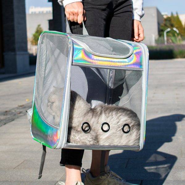 Large Space Transparent Laser Dog Backpack - Image 6