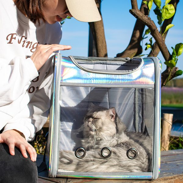 Large Space Transparent Laser Dog Backpack