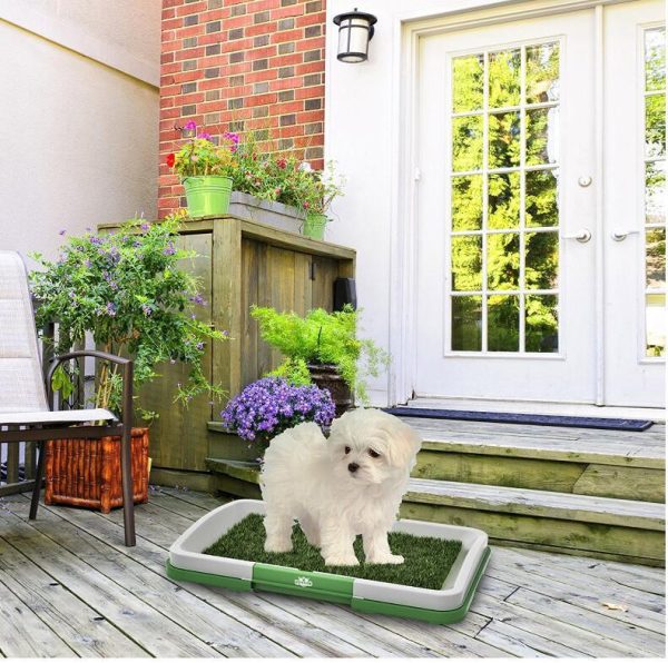 Flat Pet Toilet Dog Potty With Lawn Trumpet