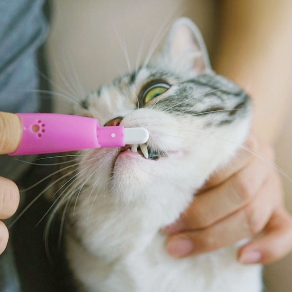 Cat Pet Finger Toothbrush - Image 2