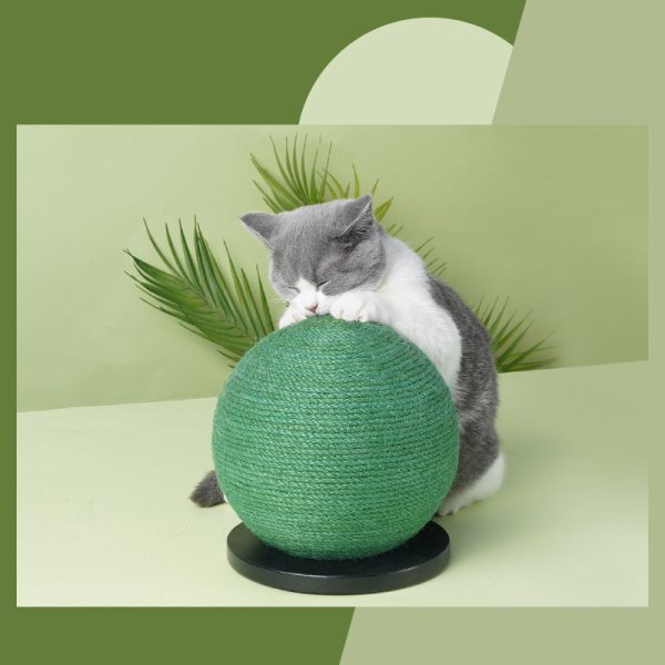 Cat Scratching Ball Board Toy Cactus Shape Scratch Sisal Post - Image 2