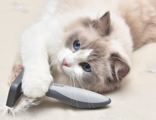 Cat dog pet comb - Image 5