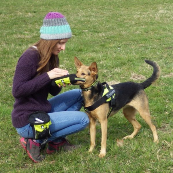 Large-capacity dog training belt bag - Image 4