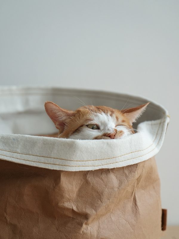 Washed Kraft Paper Bag Pet Nest - Image 6