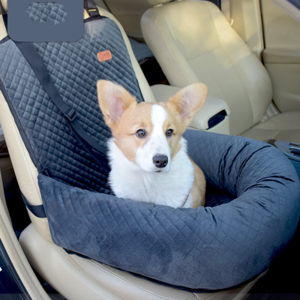 Artifact For Car Kennel And Co Pilot - Image 8