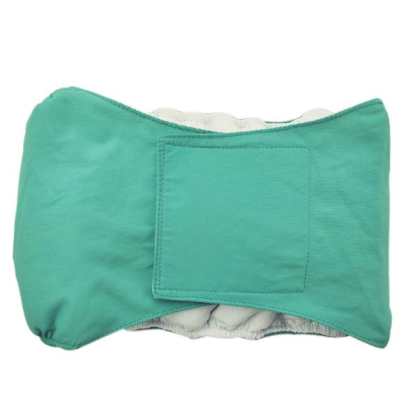 Pet-specific Dog Physiological Belt Diaper - Image 5