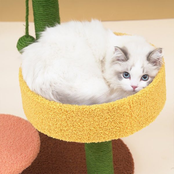 Cactus Climbing Frame Cat Sisal Hemp Column Grinding Claw - Image 4