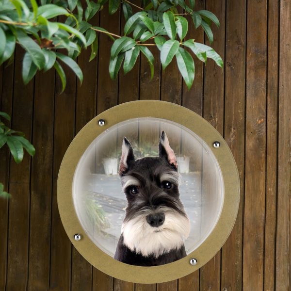 Pet acrylic small fence window - Image 4