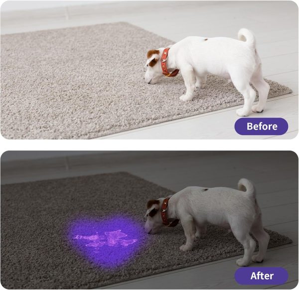 UV Flashlight LED Handheld Blacklight Flashlight Mini Light Torch Detector For Dog Pet Urine Stains Bed Bugs And Scorpions Batteries Not Included - Image 9