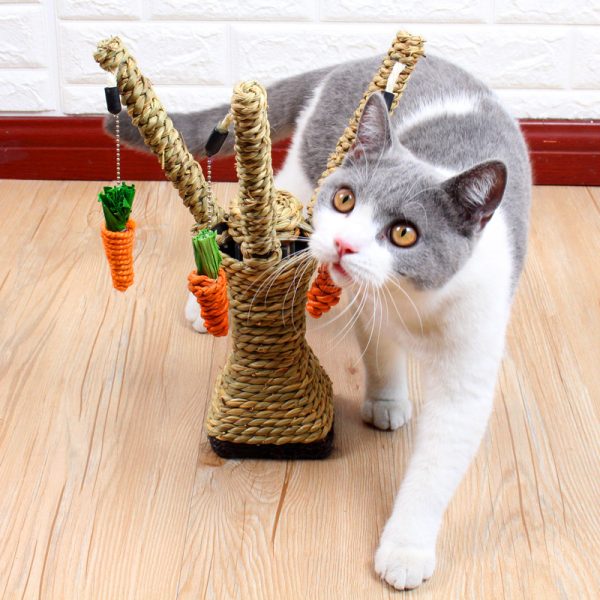 Kitten Claw Plate Molar Toy Vertical - Image 2