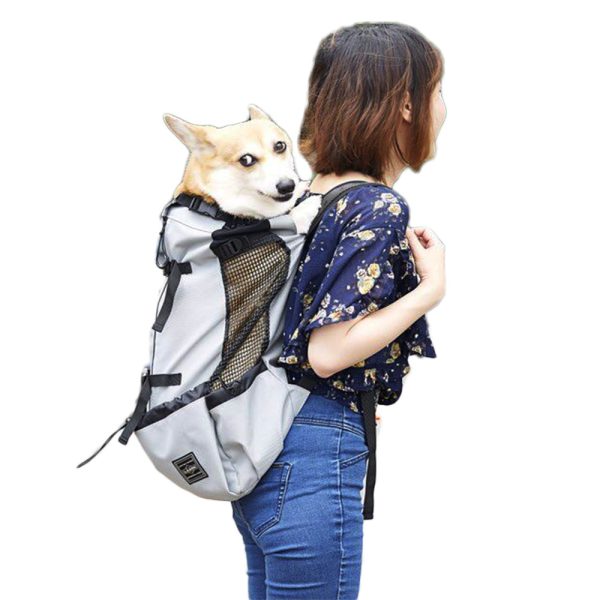 Dog backpack pet backpack go out and carry - Image 3