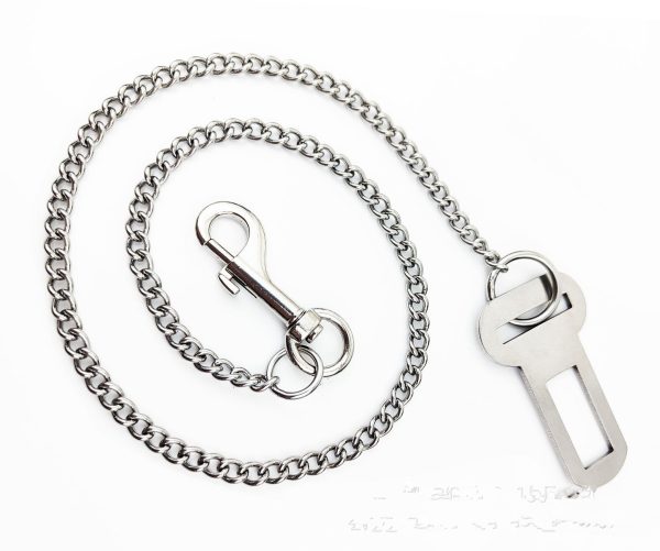 Stainless Steel Small Chain Puppy Car Safety Rope - Image 4