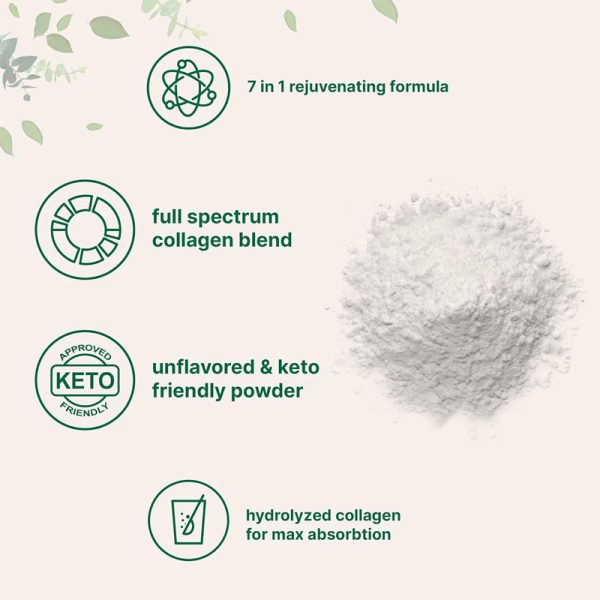 Collagen Peptide Powder Collagen Powder - Image 4