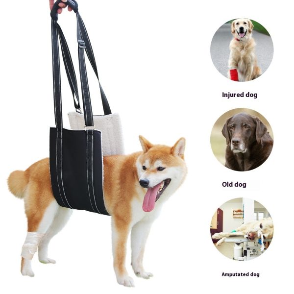 Adjustable Dog Rehabilitation Training Belt Elderly Disabled Pet Supplies - Image 2