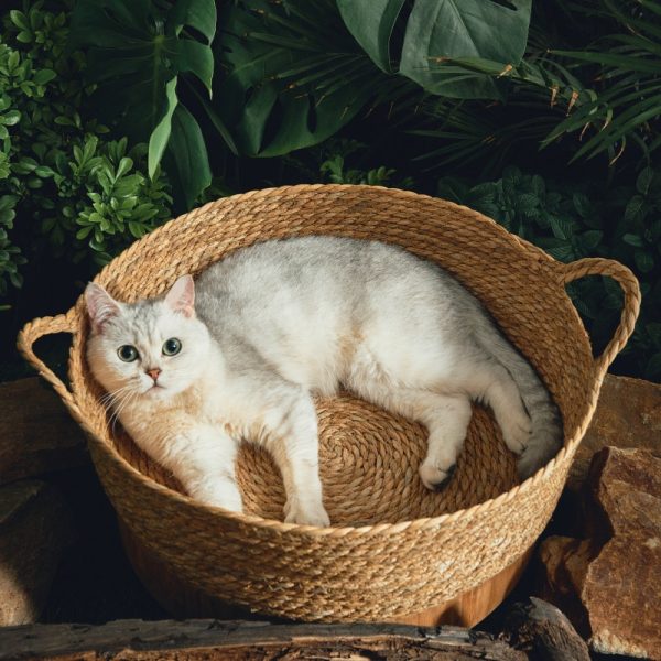 All-in-one Cattail Mat With Rattan Cat Litter - Image 3