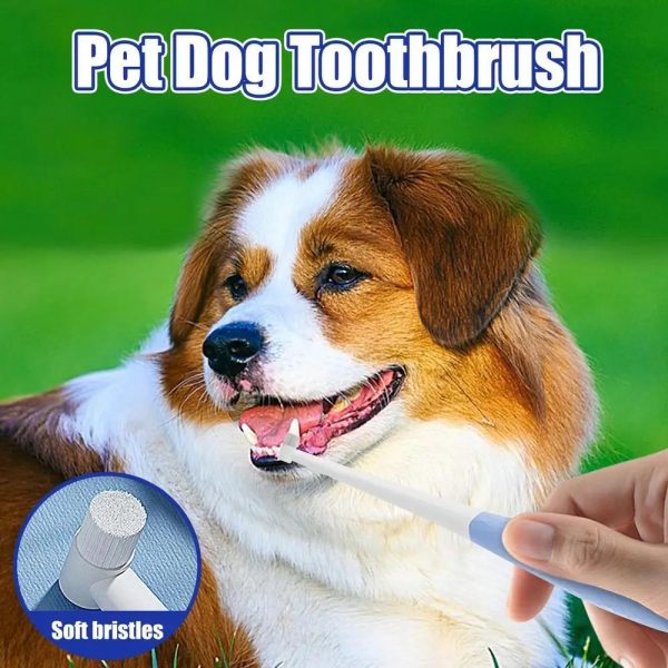 Pet Toothbrush Kitten Tooth Brushes Small Cats Safe Dog Oral Care Odorless Cat Tooth Care Brush With Anti-Slip Handle Pet Teeth - Image 3