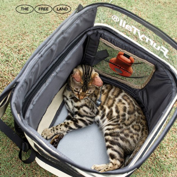 Portable Large-capacity Breathable Cat Backpack - Image 5