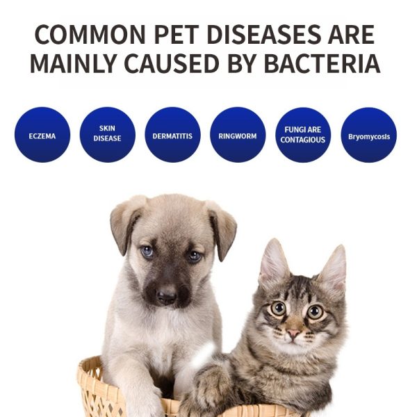 Pet Comb Comb Cat Dog Deodorant Kill Bacteria Comb UV Cat Moss Detection Light Pet Supplies - Image 3