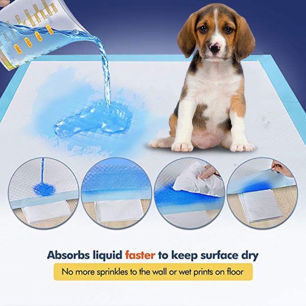 Pet Hygiene Absorbent Dog Pad - Image 4