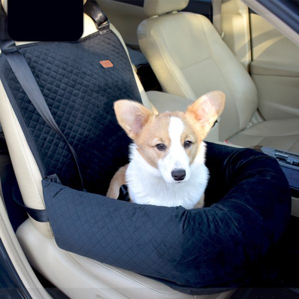 Artifact For Car Kennel And Co Pilot - Image 7