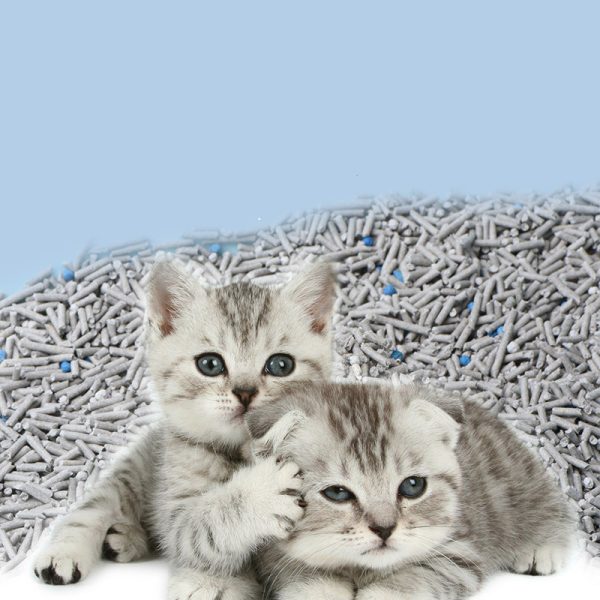 6L Activated Charcoal Mixed With Cat Litter And Tofu Residue To Deodorize - Image 2