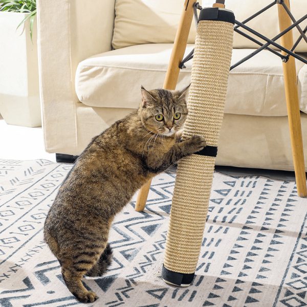 Portable Cat Scratching Pad Pet Toy - Image 8