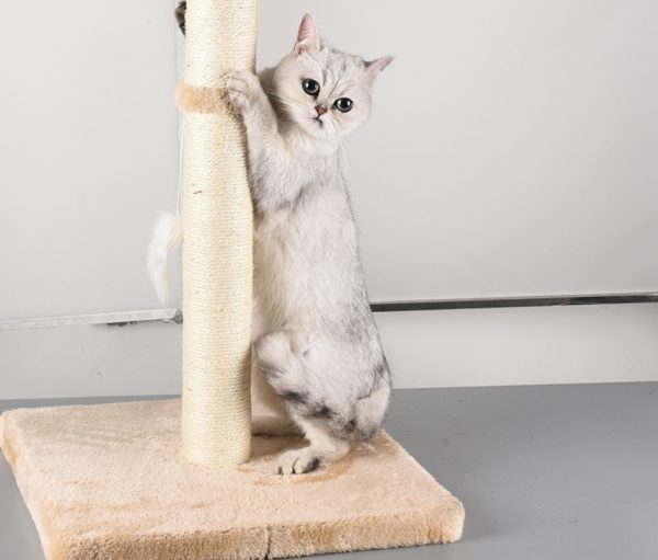 Sisal Type Grinding Claw Vertical Medium And Small Cat Climbing Frame - Image 5