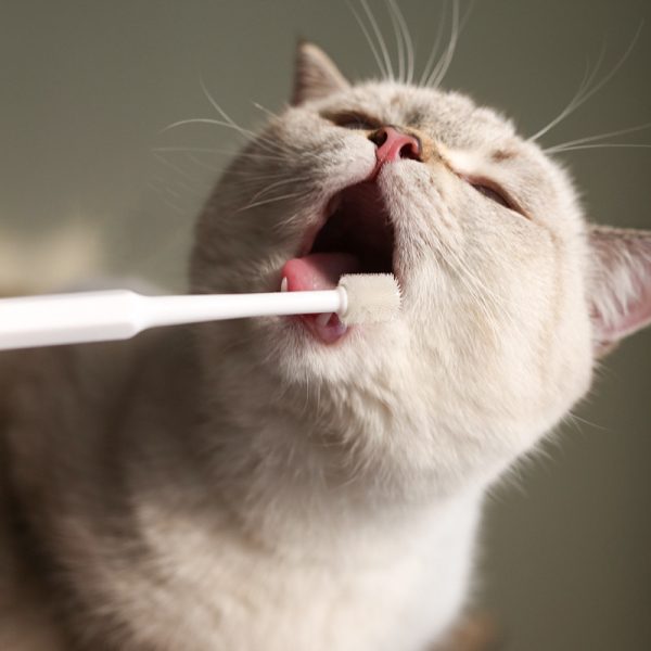 Pet Dog Cat Toothbrush 360 Degrees Oral Cleaning Teeth Improve Bad Breath Prevention Dental Calculus Toothpaste - Image 2