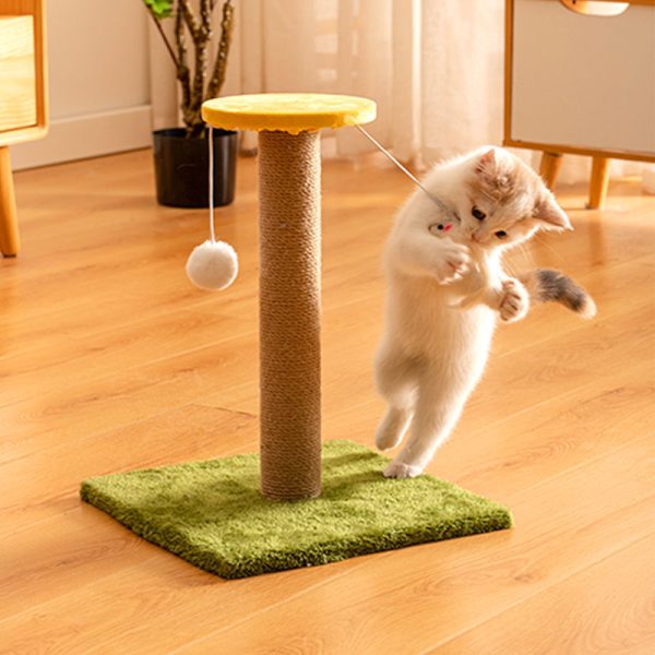 Cat Scratcher Sisal Vertical Durable Non-dandruff Anti-scratch Toy Cat Supplies - Image 9