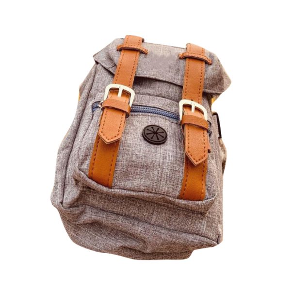 Pet Self Backpack Schnauzer Small And Medium-sized Dog Corgi Bag - Image 3