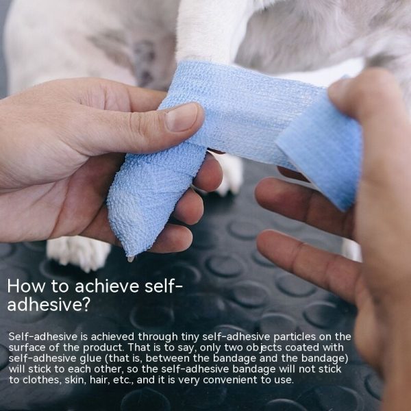 Bottom Anti-wear Dogs And Cats Supplies - Image 2