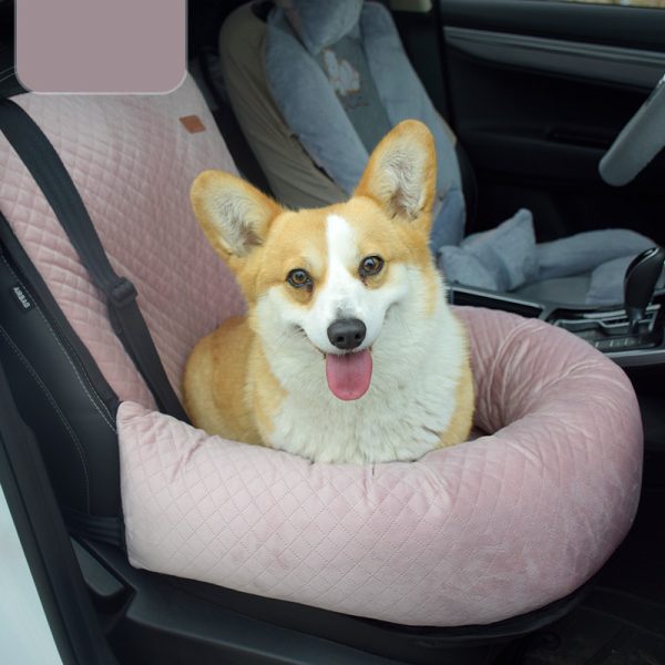 Artifact For Car Kennel And Co Pilot - Image 9