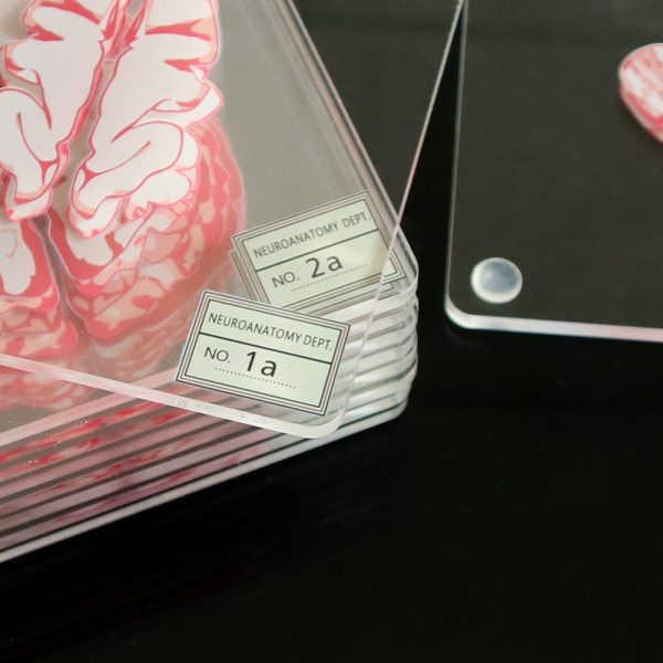 Creative Floral Brain Slices Acrylic Coasters Party Favors - Image 4