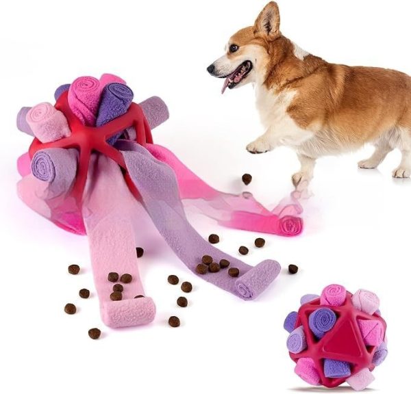 Pet Toy Pet Sniffing Ball Interactive Toy - Image 8