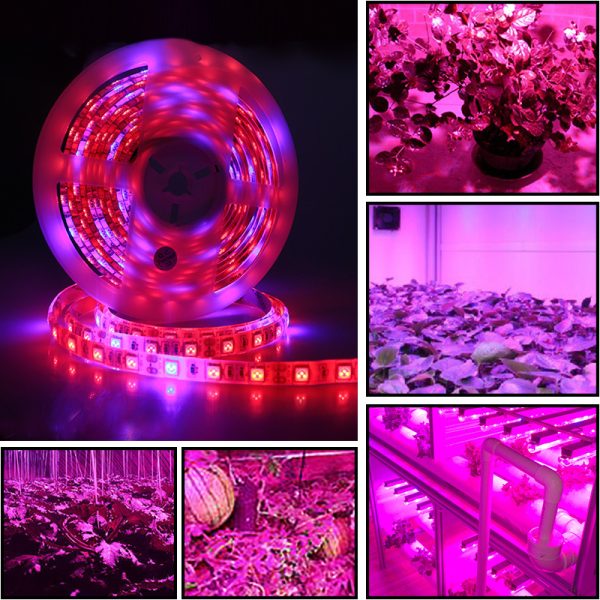 5050Led plant growth soft light bar 5M - Image 6