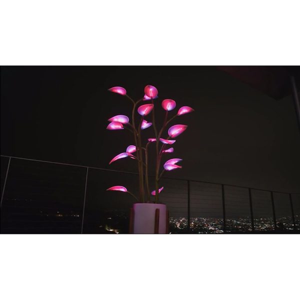 New Magic Led Indoor Plant Lamp - Image 5