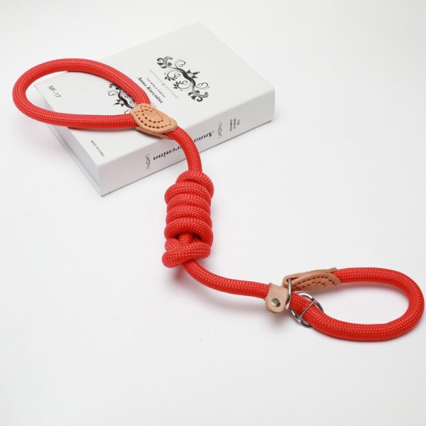 Slip Lead Training Dog Leash - Image 3