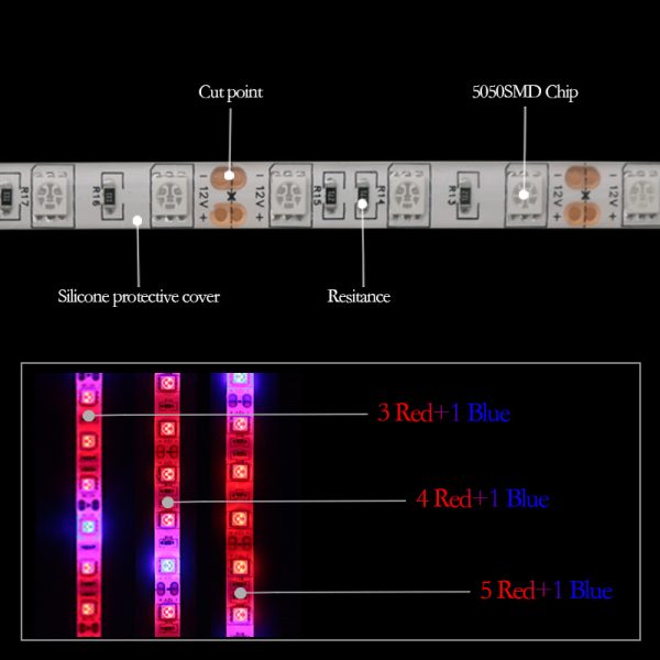 5050Led plant growth soft light bar 5M - Image 2