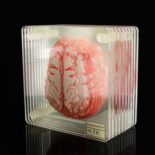 Creative Floral Brain Slices Acrylic Coasters Party Favors - Image 5